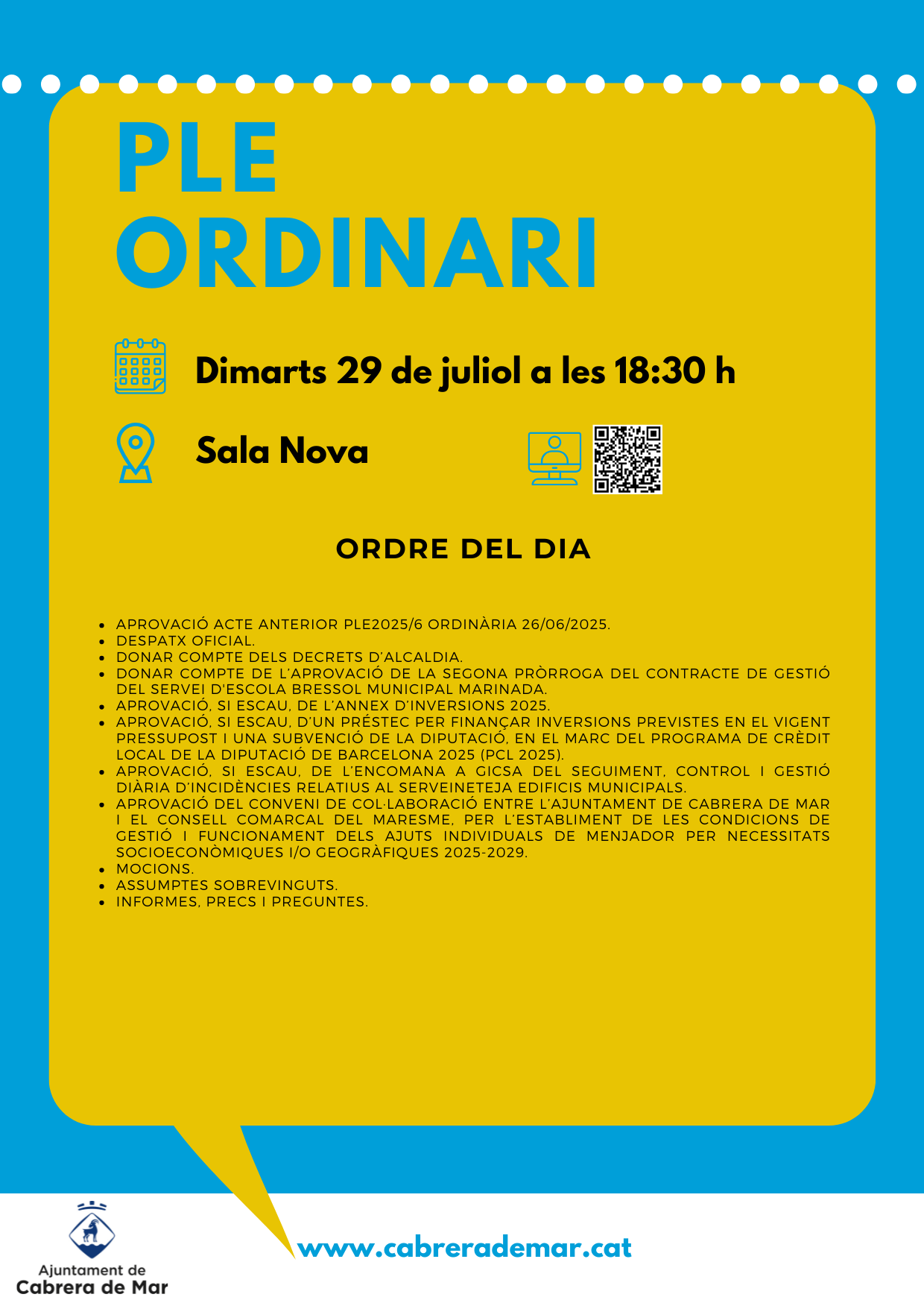 PLE ORDINARI 29072025
