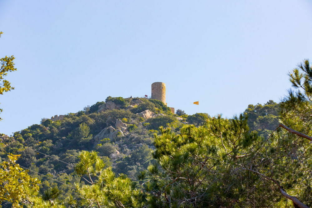 Imatge pels mitjans: Consell Civisme i Convivència Ciutadana
