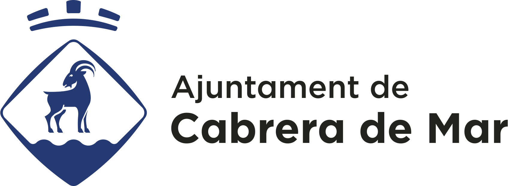 Imagen para los medios: Ple municipal